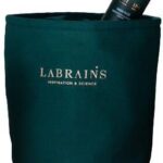 Xfem Lakier Hybrydowy 009 6ml (Kat02456)