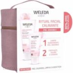 SUNSHADE Minerals Pędzel do blendowania E36