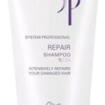 R+Co GEMSTONE Pree-Shampoo Color Protect Masque 172ml